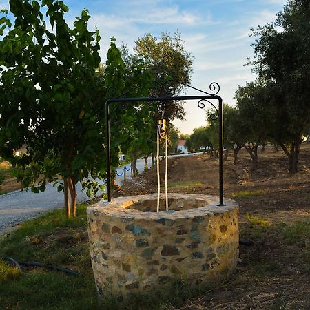 Melrinitas Turismo Rural 호텔 세르파 외부 사진
