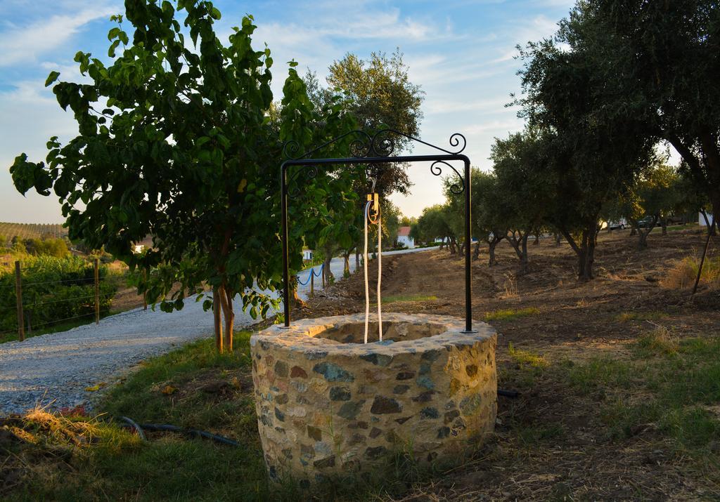 Melrinitas Turismo Rural 호텔 세르파 외부 사진