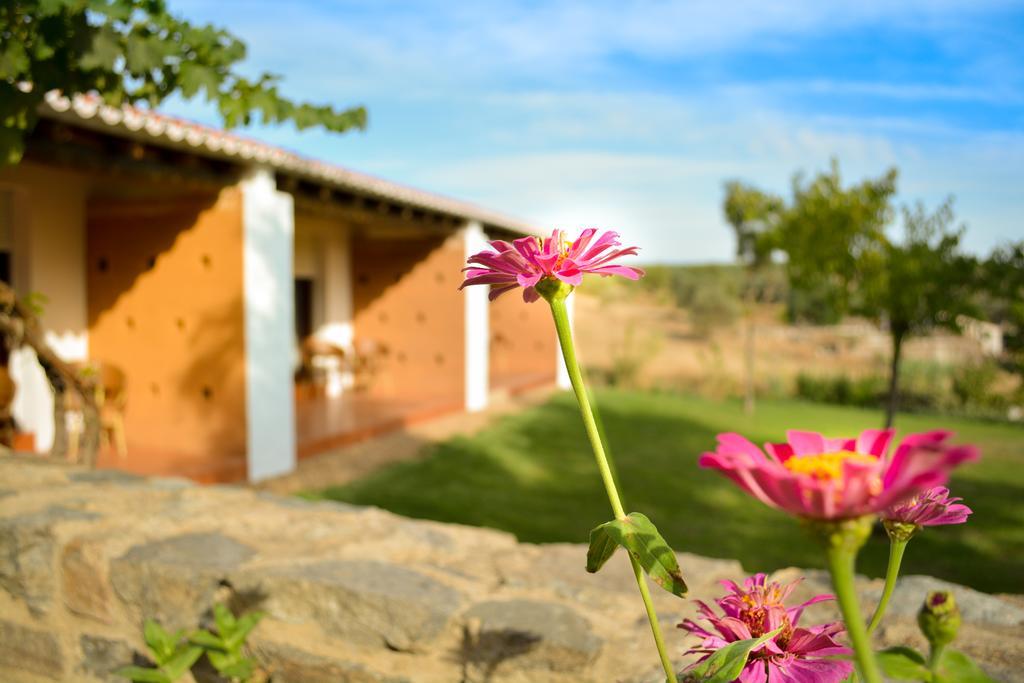 Melrinitas Turismo Rural 호텔 세르파 외부 사진
